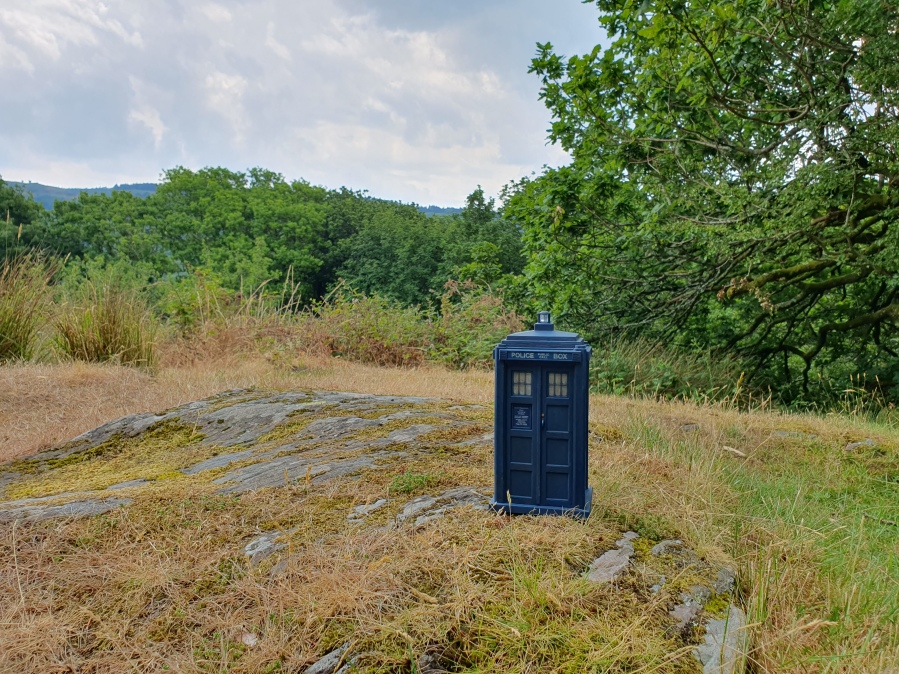 Toy TARDIS on some rocks with green landscape behind